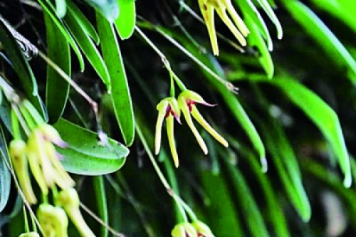 res0803_attpic_brief.jpg 星天地