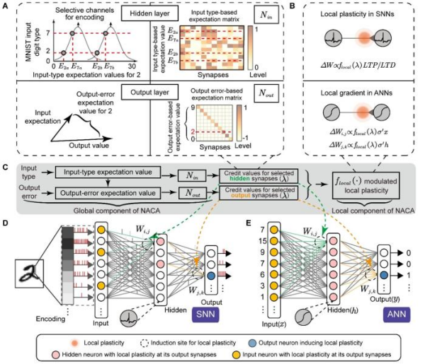 7ac6f272-3c2f-469e-a471-976c5d312e1f_zsite.jpg 星天地