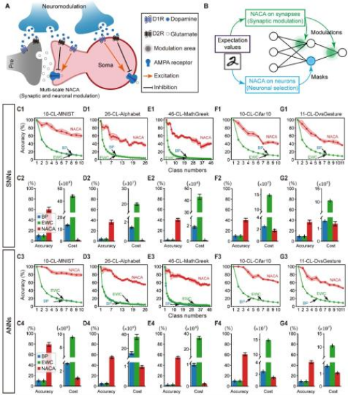 0f7a1450-8ed6-4a52-846d-b287b1be1c2e_zsite.jpg 星天地