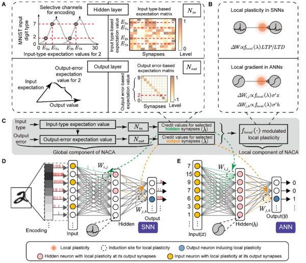 1129835399_16933832561171n.png 星天地