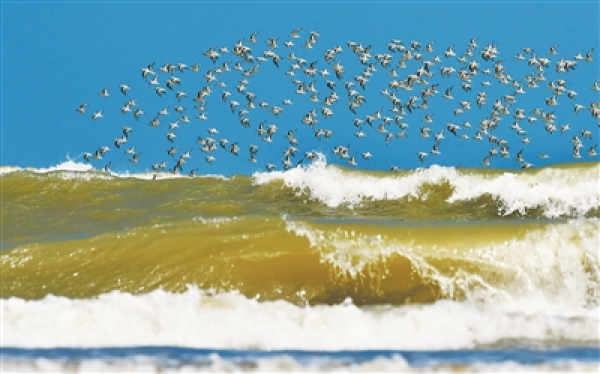 3321505_jiny_1693386451594_b.jpg 星天地