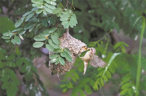 3321515_jiny_1693386383510_b.jpg 星天地