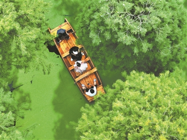 3321540_jiny_1693386629433_b.jpg 星天地