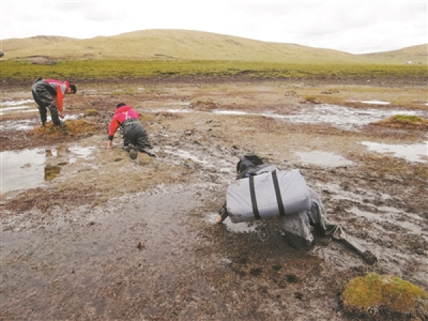 3321291_jiny_1693386548409_b.jpg 星天地