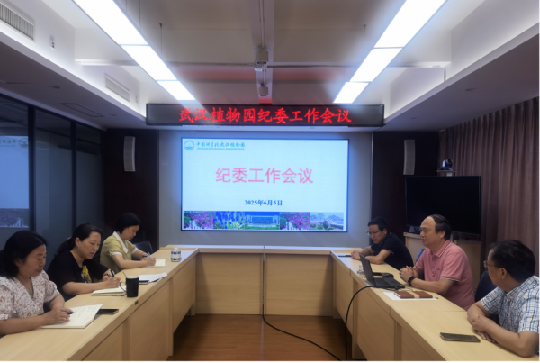 U020250616422038418577.png 星天地