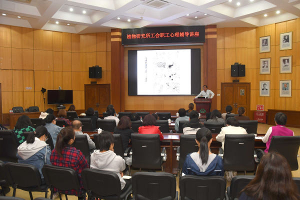 U020231026591980367566.jpg 星天地