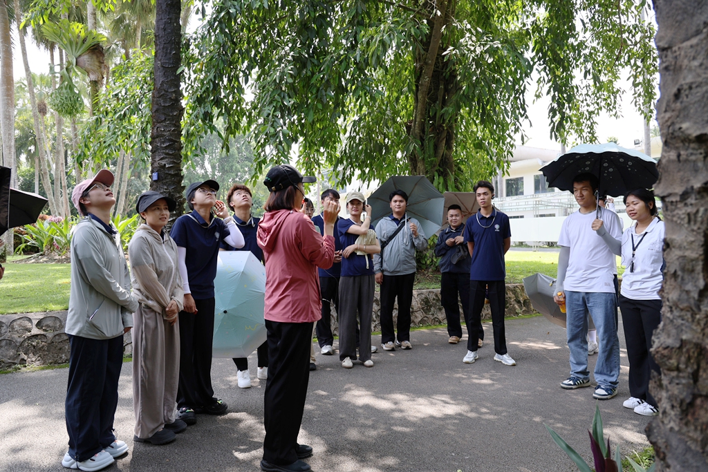 U020250610838321053663.jpg 星天地