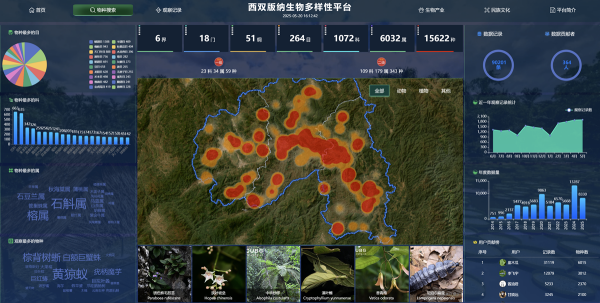 U020250523566247199996.png 星天地