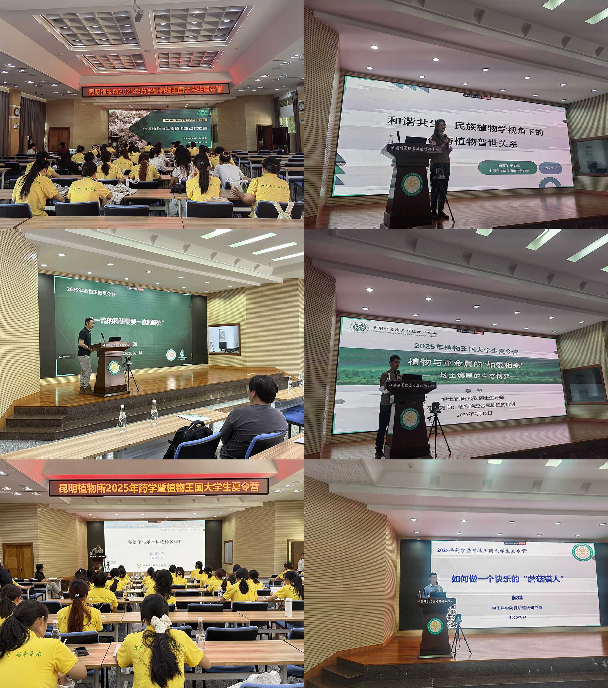 U020250724352271446810.png 星天地