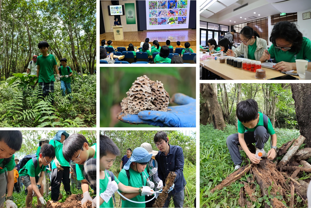 U020250811399213974694.jpg 星天地