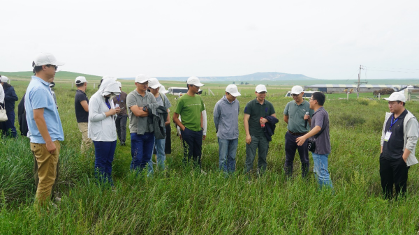 U020240823330952088213.jpg 星天地