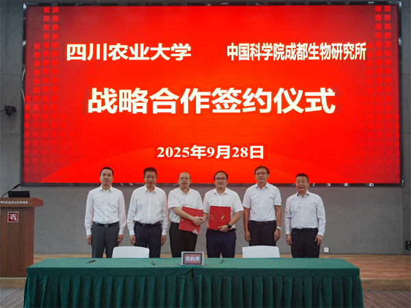 U020250929565000855972.png 星天地