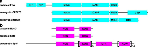 U020240926353459909409.png 星天地