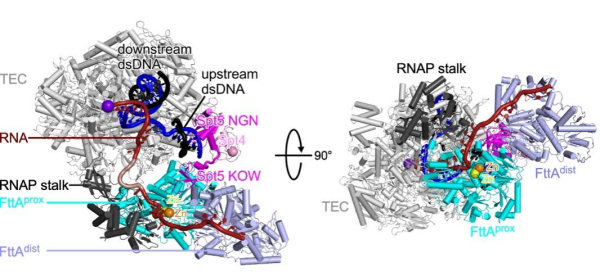 U020240926353460023552.png 星天地