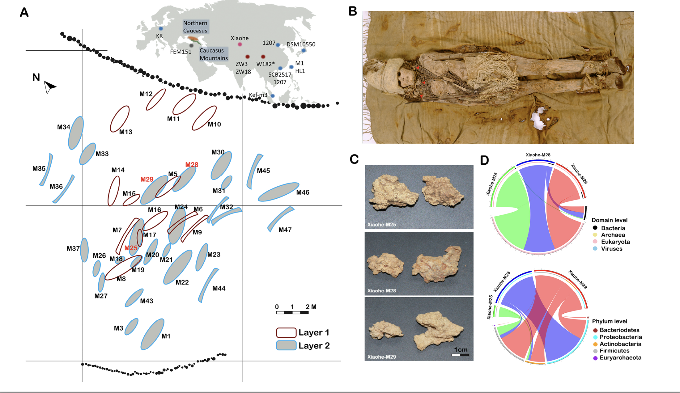 U020240926367923579813.png 星天地