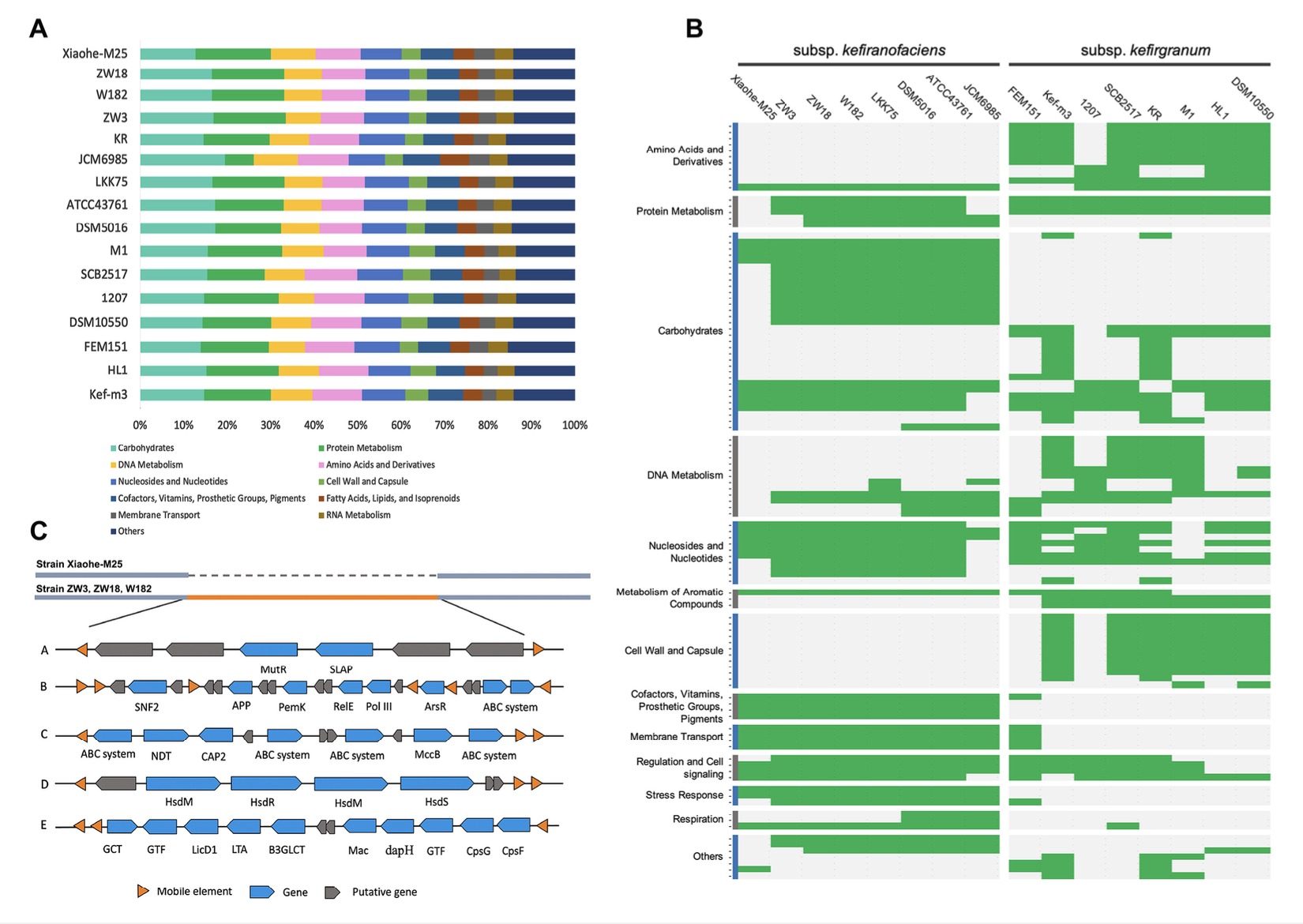 U020240926367923964475.png 星天地