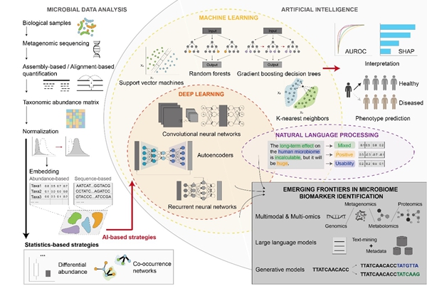 U020240927332685613049.jpg 星天地