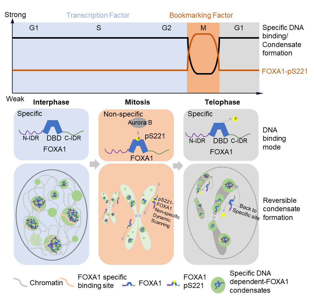 U020240927599575170504.png 星天地
