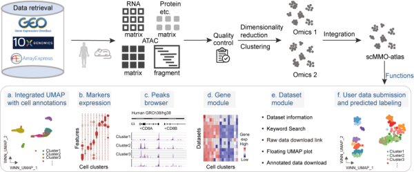 U020240927575487947932.png 星天地