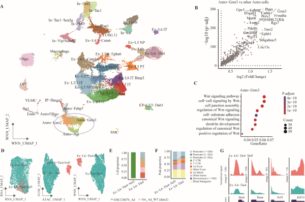 U020240927575488156201.png 星天地