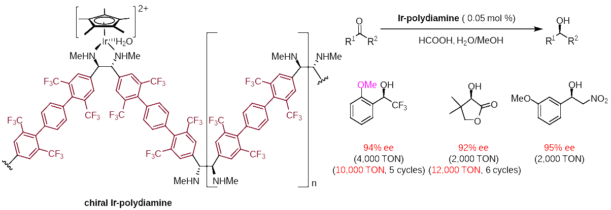 U020241009489625724203.gif 星天地