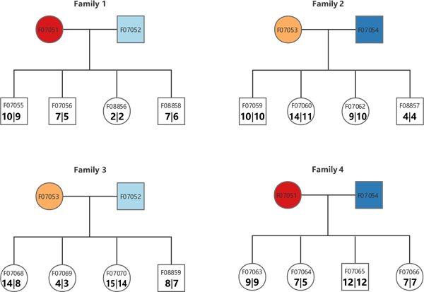 U020241009331057807564.jpg 星天地