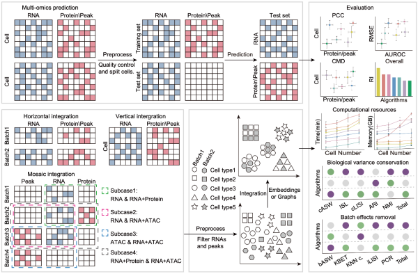 U020241008406577634143.png 星天地