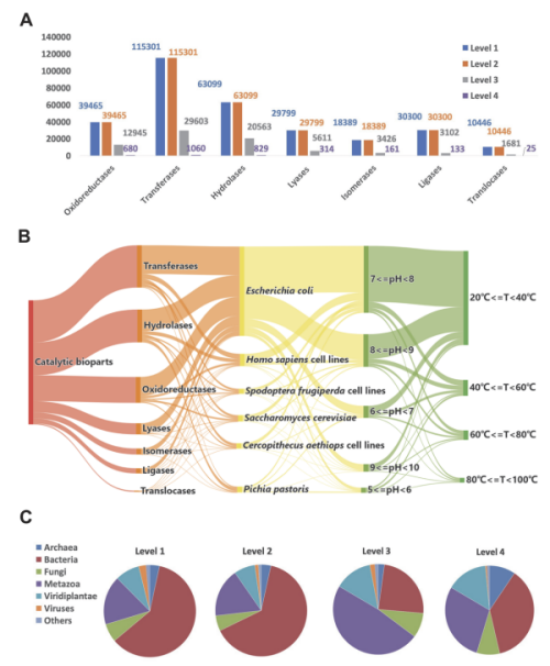 U020241011611815407686.png 星天地
