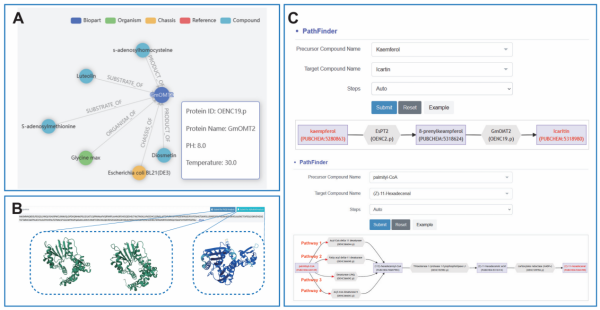 U020241011611819123549.png 星天地