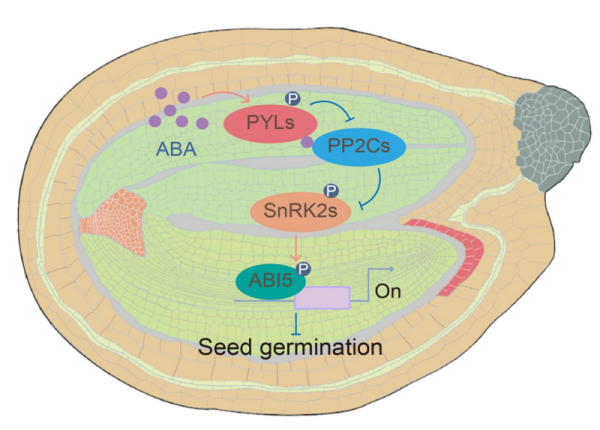 U020241016617034422622.png 星天地