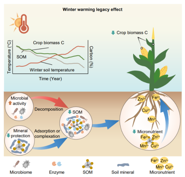 U020241016387327184001.png 星天地