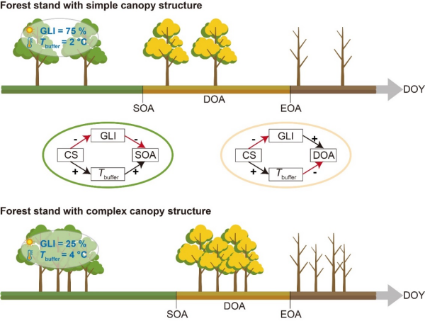 U020241017324817728848.jpg 星天地