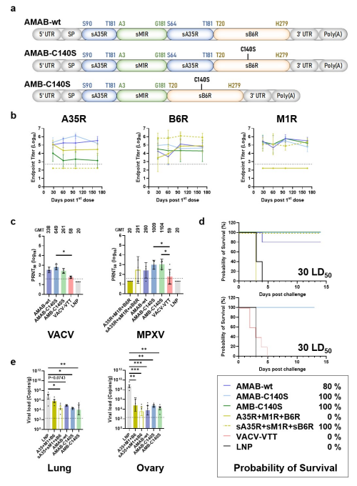U020241022325876569487.jpg 星天地