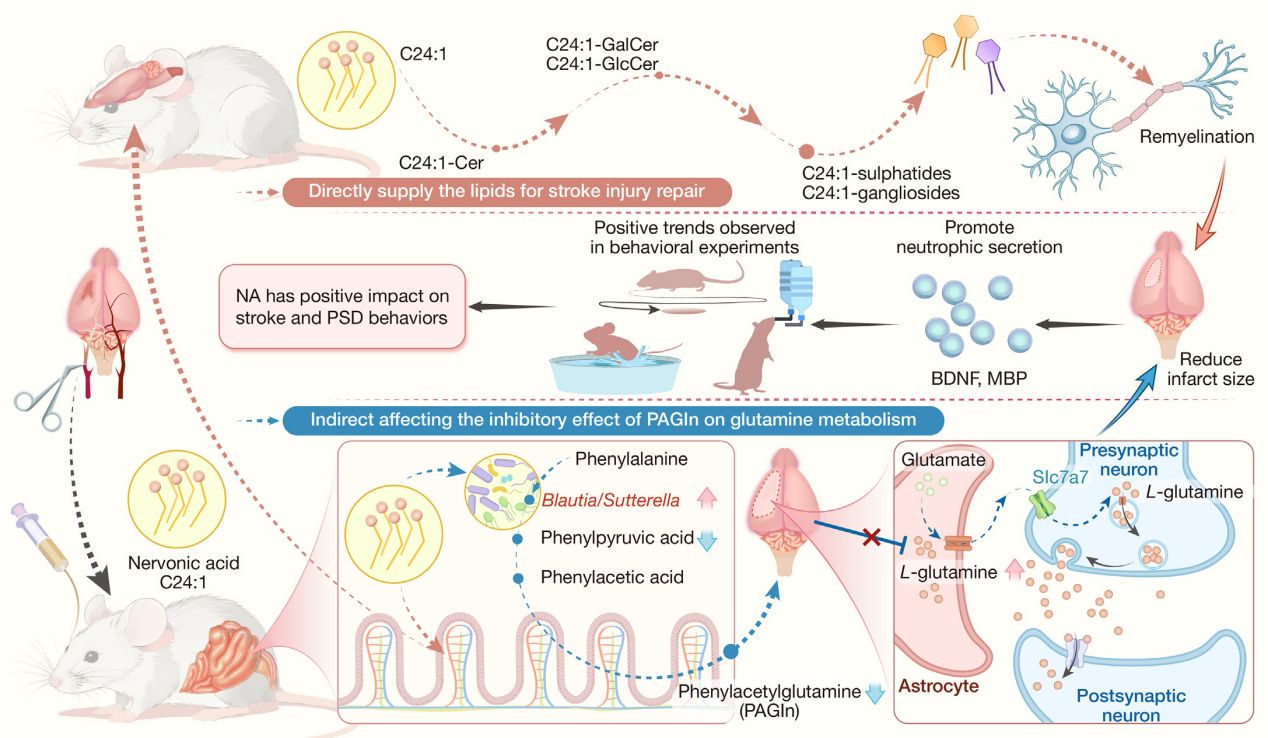 U020241017576771473219.png 星天地