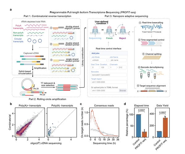 U020241023336925354488.jpg 星天地