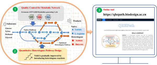 U020241022354366675306.png 星天地