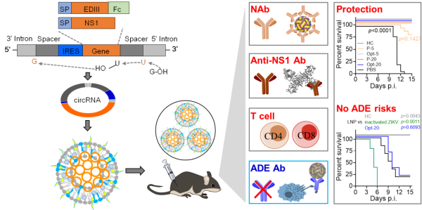 U020241022410289415263.png 星天地