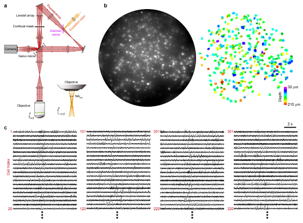 U020241023587619128441.png 星天地