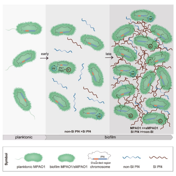 U020241021563316340127.jpg 星天地