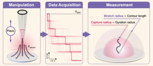 U020241024575740265849.png 星天地