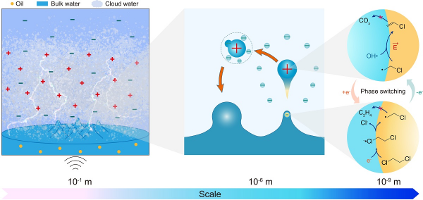 U020241024337184036674.jpg 星天地