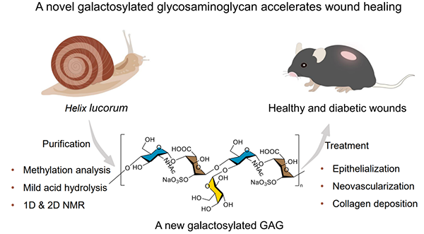 U020241028584520416289.png 星天地