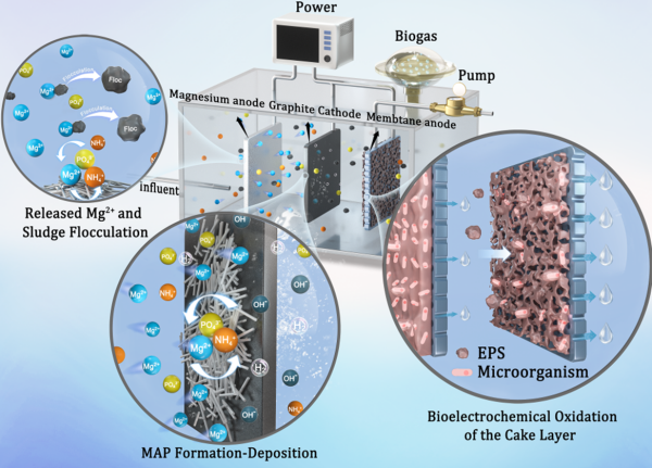 U020241024634398159320.png 星天地