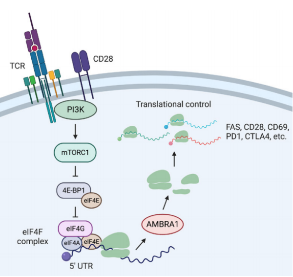 U020241028477008443868.png 星天地