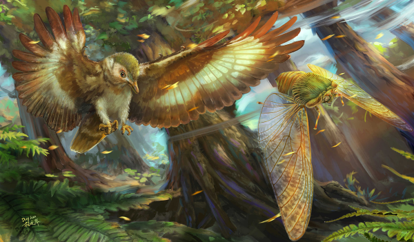 U020241025839724223860.jpg 星天地