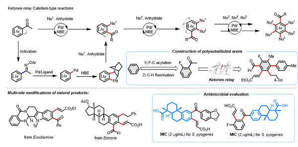 U020241029587600951287.png 星天地