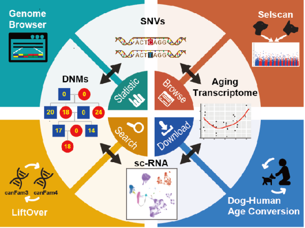 U020241030531644509151.png 星天地