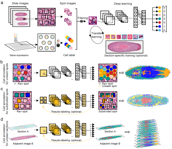 U020241029373219227488.png 星天地