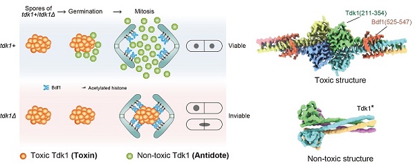 U020241104342394508857.jpg 星天地