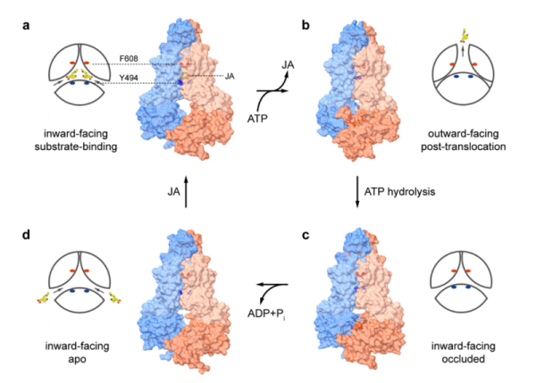 U020241105666213803839.png 星天地